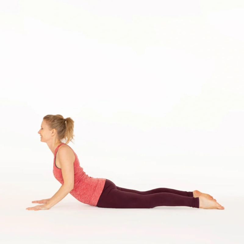 Cobra Pose Ekhart Yoga