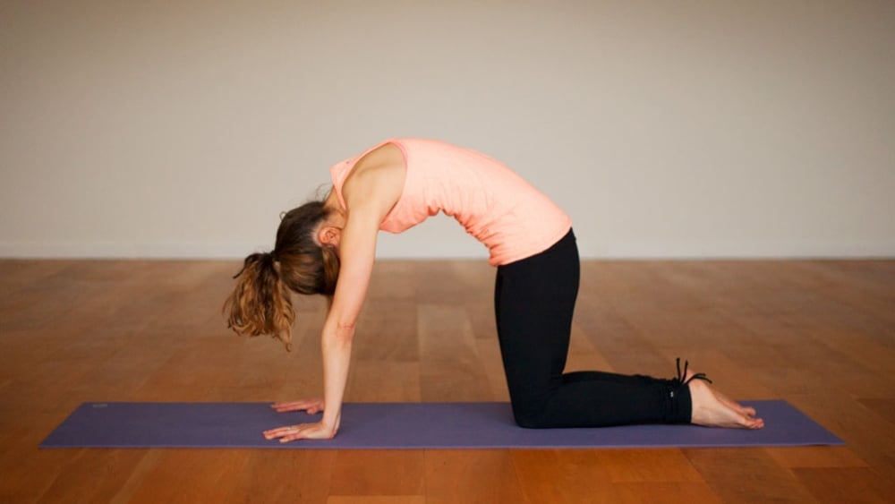Yoga - Beginners Yoga Practice Level 3 - YouTube