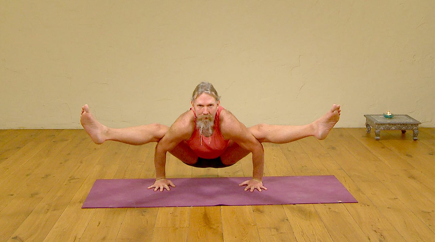 Yoga How to: Transition from Crow (bakasana) to Firefly (tittibhasana) —  Yoga Hohm