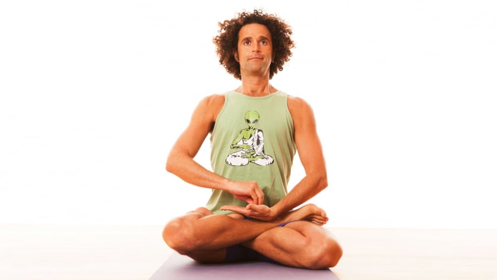 Props for Yoga III: A Guide to Iyengar Yoga Practice with Props - Eyal  Shifroni