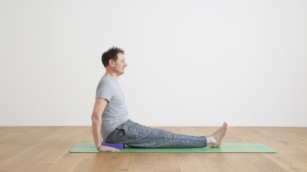 12 Basic Yoga Poses. Endless Variations. — Karin Eisen Yoga – New Hope, PA