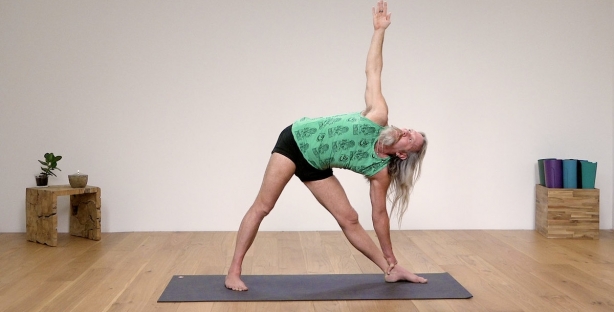 Extended Side Angle Pose - Ekhart Yoga