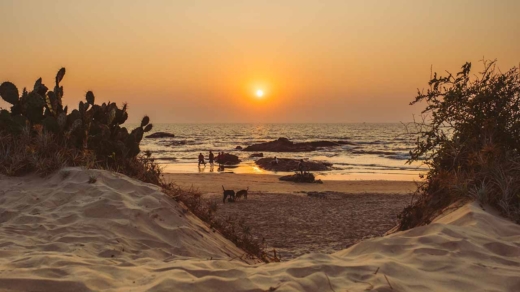 Beach in India