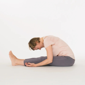 Caterpillar pose - Ekhart Yoga