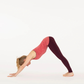 Yoga Poses for Beginners: How to do Downward dog correctly