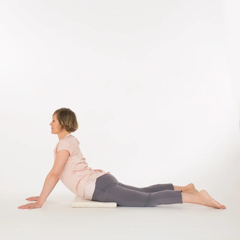 Sphinx and Seal Pose | One of our favourite poses for the spine. Practice  everyday to feel the benefits. Join us for Yin Yoga tonight at 8pm. We  promise that you will