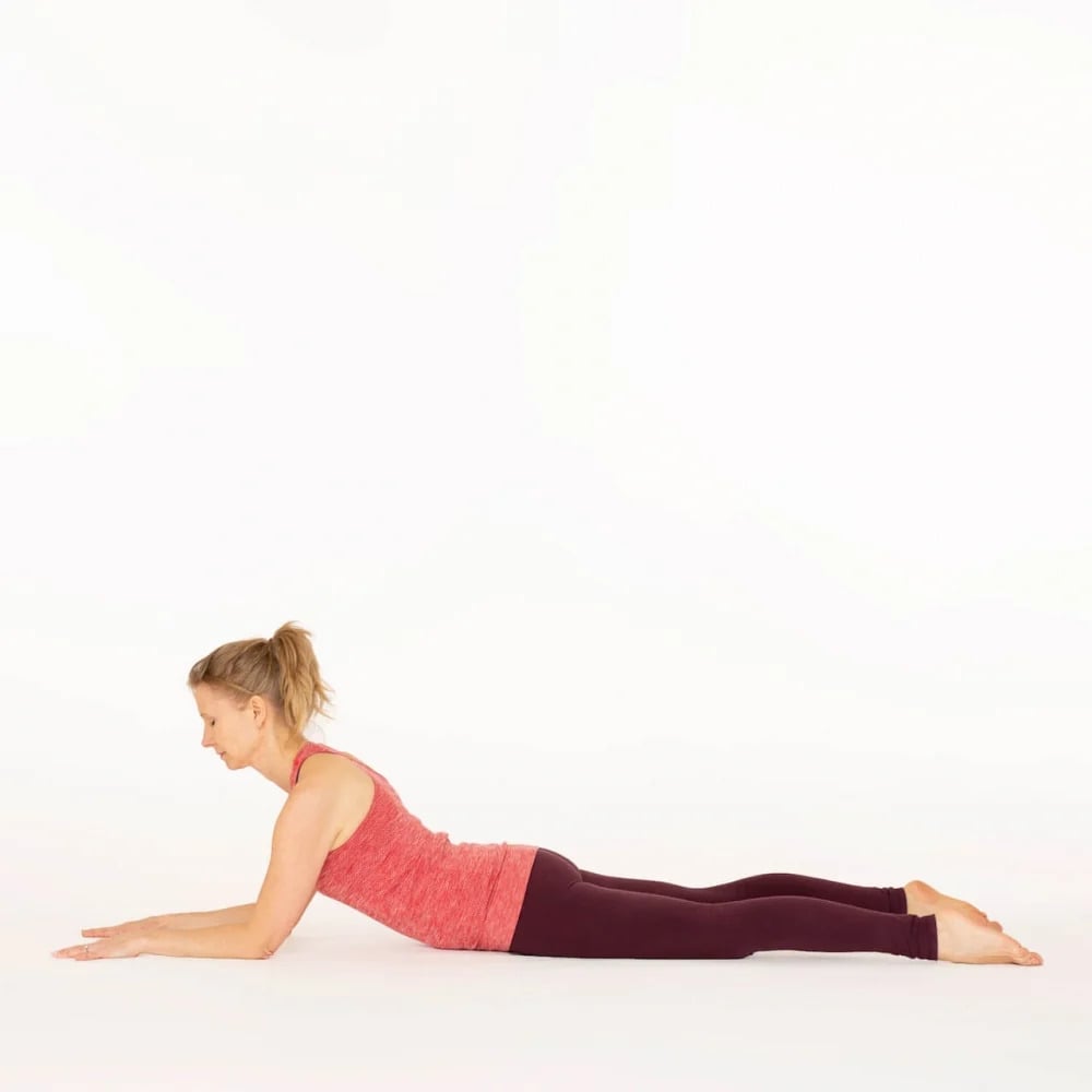 Sphinx Pose Yoga | Basic yoga poses, Basic yoga, Learn yoga
