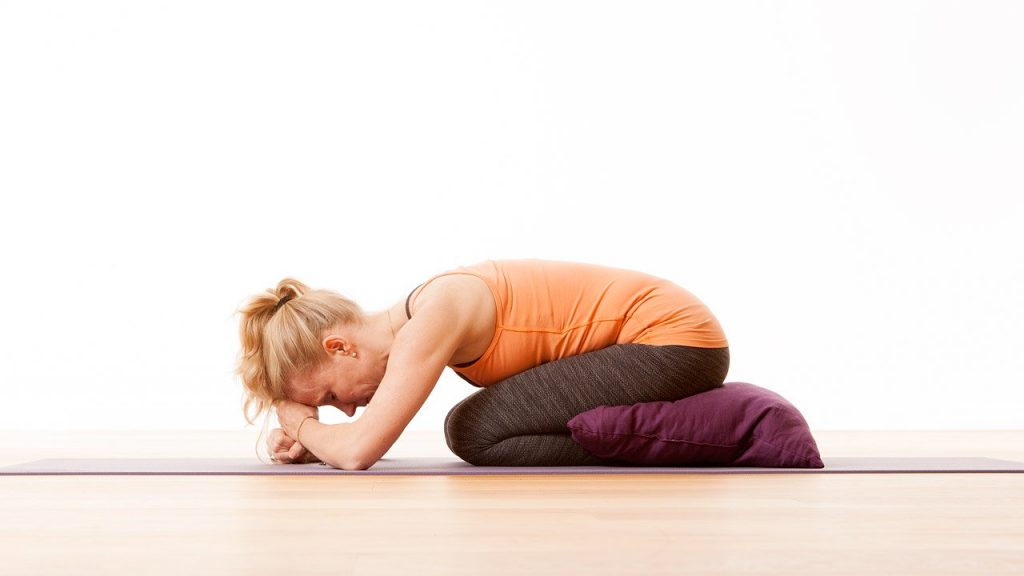Cat Pose benefits, tips and variations - Ekhart Yoga